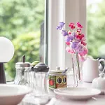 Dunvegan Maison d'hôtes Windermere
